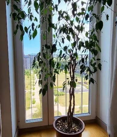 Cozy 100m2 In Elite District Apartment